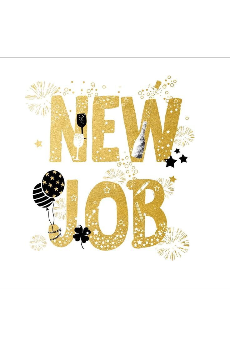 Looking for a new job in 2024? We've got your back!